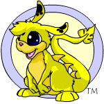 Zafara yellow baby.gif