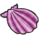 File:She scallop2.gif