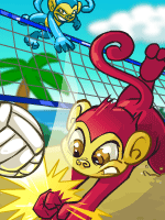 Mynci Beach Volleyball