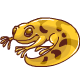 Petpetscamander.gif