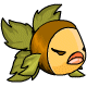 Pet scado.gif