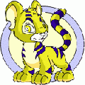 Kougra yellow baby.gif