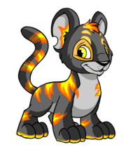 Fire kougra cropped.png