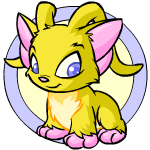 Acara yellow baby.gif