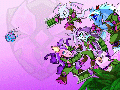Thumbnail for version as of 21:48, 13 July 2014